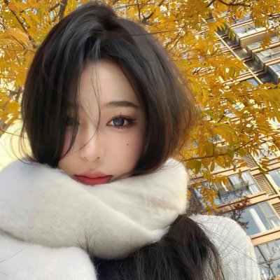 什布卡山上的英雄们